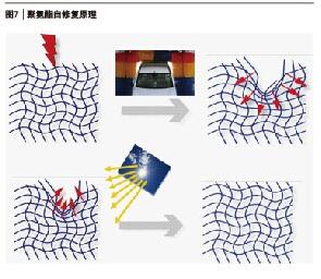 �D7 �ۚ������ޏ�(f��)ԭ��